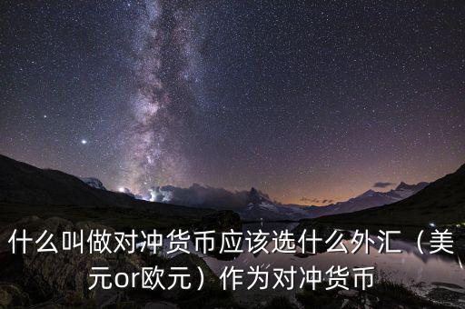 什么叫做對(duì)沖貨幣應(yīng)該選什么外匯（美元or歐元）作為對(duì)沖貨幣