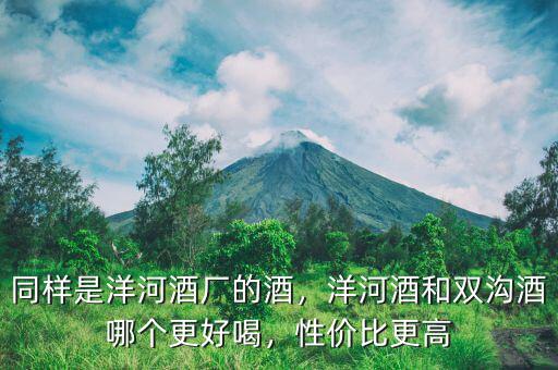 同樣是洋河酒廠的酒，洋河酒和雙溝酒哪個更好喝，性價比更高
