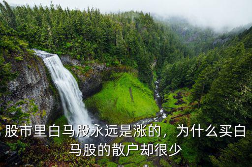 股市里白馬股永遠(yuǎn)是漲的，為什么買白馬股的散戶卻很少