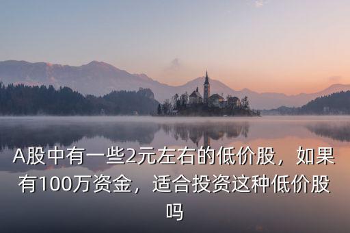 A股中有一些2元左右的低價股，如果有100萬資金，適合投資這種低價股嗎