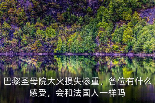 巴黎圣母院大火損失慘重，各位有什么感受，會(huì)和法國人一樣嗎