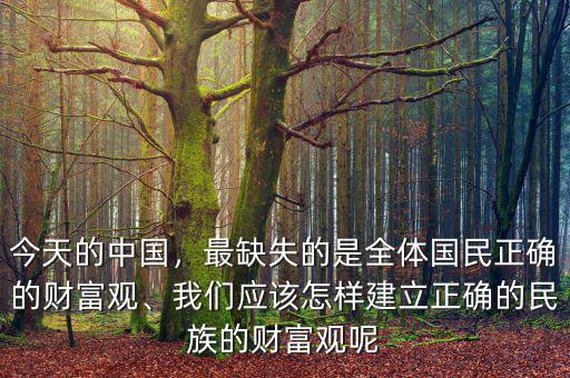 今天的中國，最缺失的是全體國民正確的財富觀、我們應(yīng)該怎樣建立正確的民族的財富觀呢