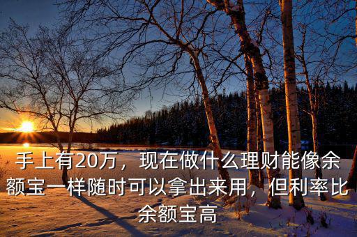 手上有20萬，現(xiàn)在做什么理財(cái)能像余額寶一樣隨時(shí)可以拿出來用，但利率比余額寶高