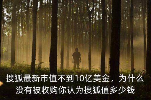 搜狐最新市值不到10億美金，為什么沒有被收購(gòu)你認(rèn)為搜狐值多少錢