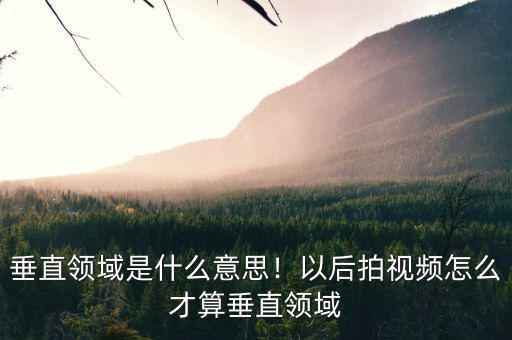 垂直領(lǐng)域是什么意思！以后拍視頻怎么才算垂直領(lǐng)域