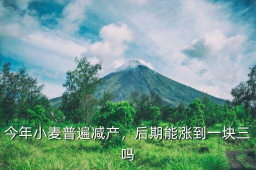 今年小麥普遍減產(chǎn)，后期能漲到一塊三嗎
