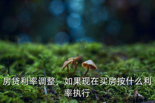 房貸利率調(diào)整，如果現(xiàn)在買(mǎi)房按什么利率執(zhí)行