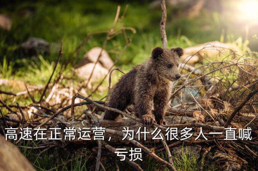 高速在正常運(yùn)營(yíng)，為什么很多人一直喊虧損