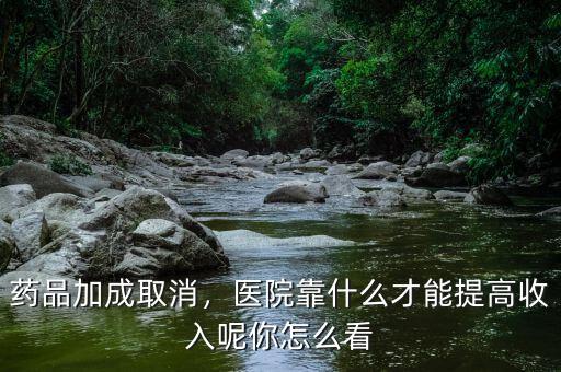 藥品加成取消，醫(yī)院靠什么才能提高收入呢你怎么看