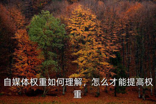 自媒體權(quán)重如何理解，怎么才能提高權(quán)重