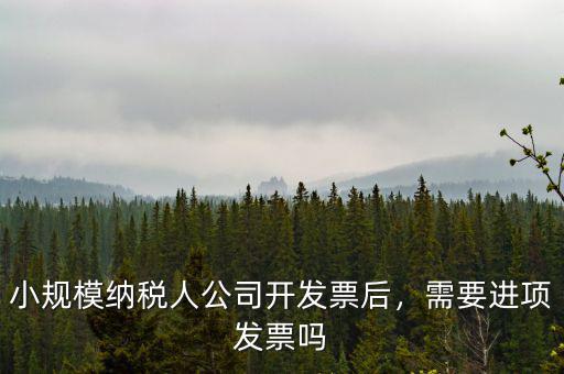 小規(guī)模納稅人公司開發(fā)票后，需要進(jìn)項(xiàng)發(fā)票嗎