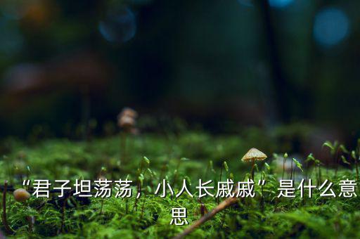 中國長(zhǎng)是什么意思,監(jiān)獄長(zhǎng)是什么級(jí)別