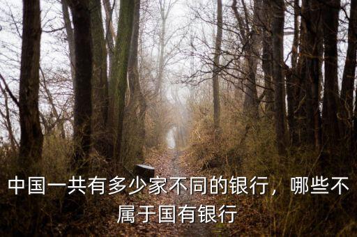 中國一共有多少家不同的銀行，哪些不屬于國有銀行