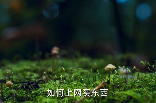如何上網買東西