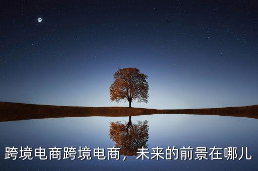 跨境電商跨境電商，未來的前景在哪兒