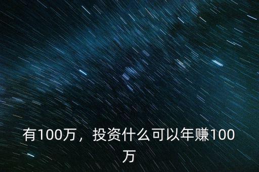 有100萬，投資什么可以年賺100萬