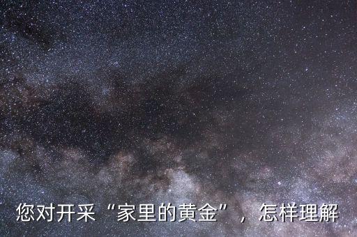 您對(duì)開采“家里的黃金”，怎樣理解