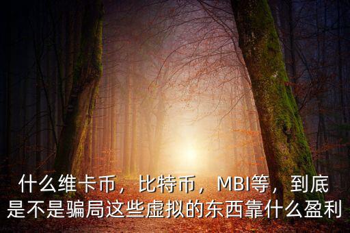 什么維卡幣，比特幣，MBI等，到底是不是騙局這些虛擬的東西靠什么盈利