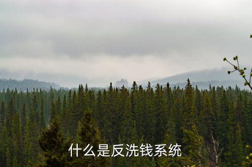 什么是反洗錢(qián)系統(tǒng)
