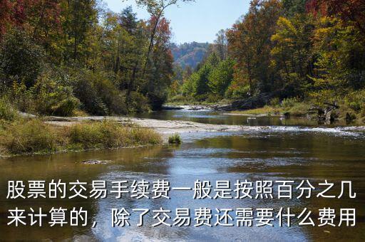 股票的交易手續(xù)費一般是按照百分之幾來計算的，除了交易費還需要什么費用