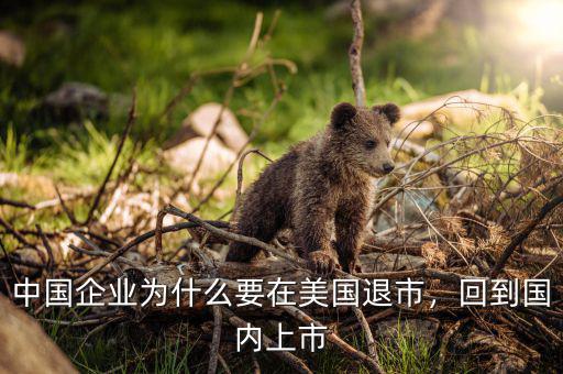 中國企業(yè)為什么要在美國退市，回到國內(nèi)上市