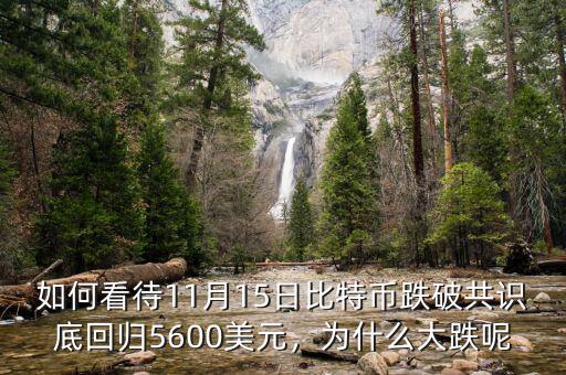 如何看待11月15日比特幣跌破共識底回歸5600美元，為什么大跌呢