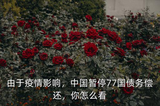 由于疫情影響，中國暫停77國債務(wù)償還，你怎么看