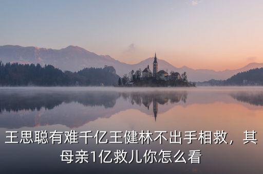 王思聰有難千億王健林不出手相救，其母親1億救兒你怎么看