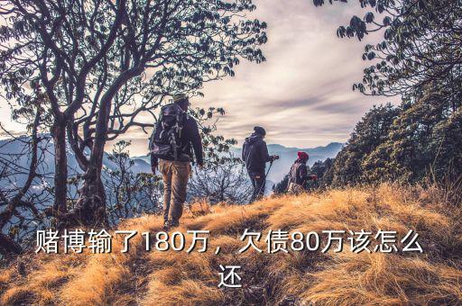 欠了380萬債務(wù)怎么還,欠了48萬元債務(wù)