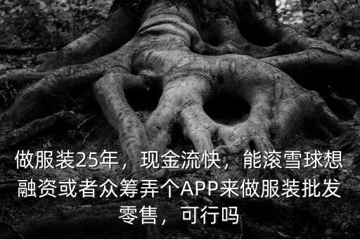 做服裝25年，現(xiàn)金流快，能滾雪球想融資或者眾籌弄個(gè)APP來(lái)做服裝批發(fā)零售，可行嗎