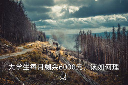 大學生每月剩余6000元，該如何理財