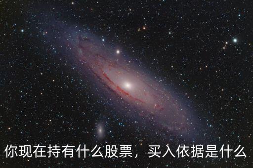 股票持有是什么意思,你現在持有什么股票