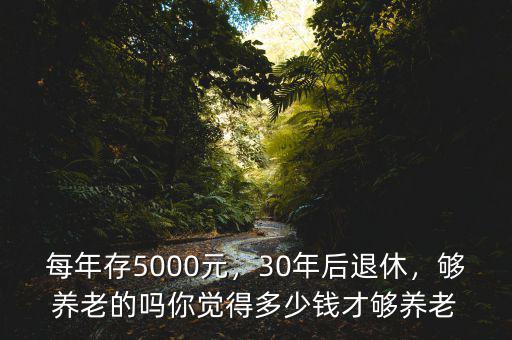 每年存5000元，30年后退休，夠養(yǎng)老的嗎你覺得多少錢才夠養(yǎng)老