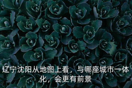 遼寧沈陽從地圖上看，與哪座城市一體化，會更有前景