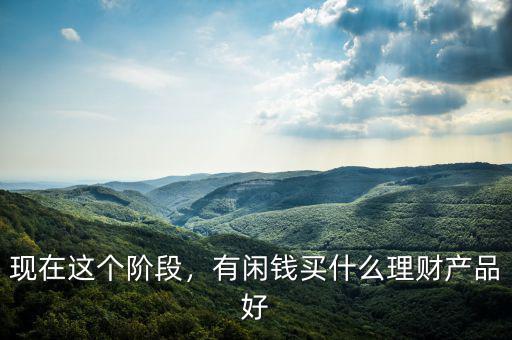 現(xiàn)在這個階段，有閑錢買什么理財產(chǎn)品好