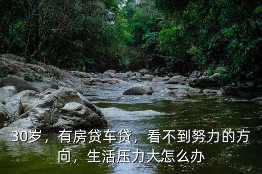 30歲，有房貸車貸，看不到努力的方向，生活壓力大怎么辦