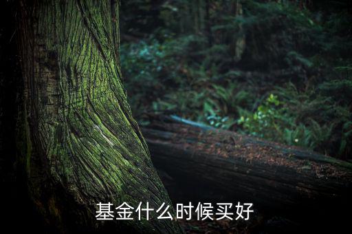 基金什么時(shí)候買好