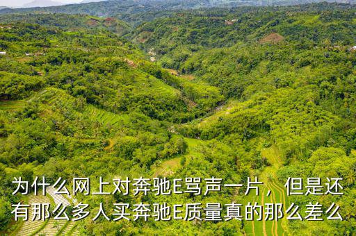為什么網(wǎng)上對奔馳E罵聲一片，但是還有那么多人買奔馳E質(zhì)量真的那么差么