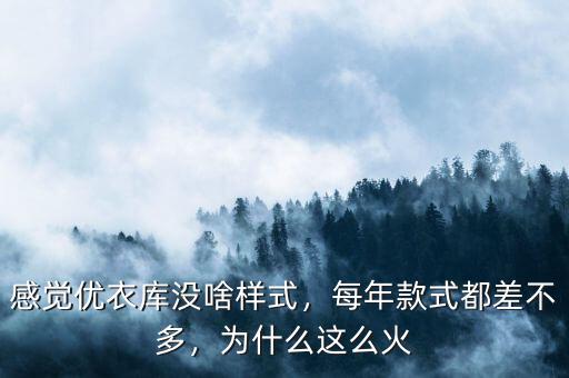 感覺優(yōu)衣庫沒啥樣式，每年款式都差不多，為什么這么火