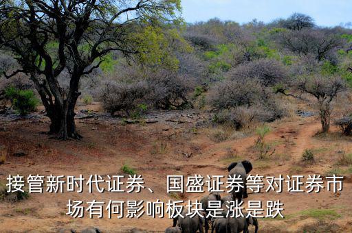 接管新時(shí)代證券、國盛證券等對(duì)證券市場有何影響板塊是漲是跌