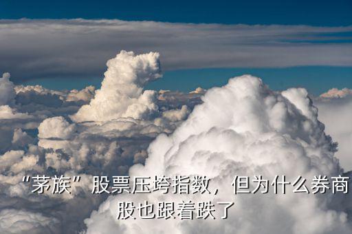 “茅族”股票壓垮指數(shù)，但為什么券商股也跟著跌了