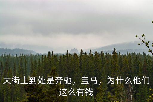大街上到處是奔馳，寶馬，為什么他們這么有錢