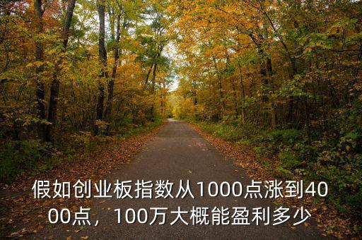 假如創(chuàng)業(yè)板指數(shù)從1000點(diǎn)漲到4000點(diǎn)，100萬大概能盈利多少