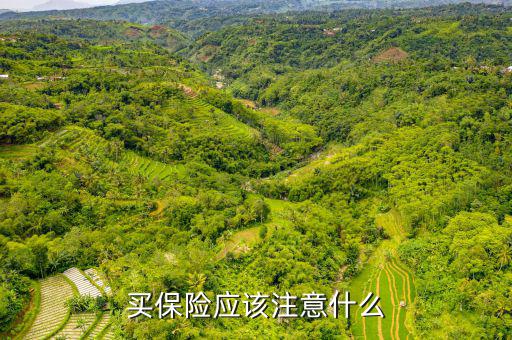 上保險(xiǎn)注意什么,買(mǎi)保險(xiǎn)時(shí)要注意什么問(wèn)題
