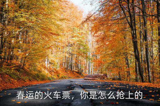 春運(yùn)的火車票，你是怎么搶上的