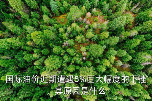 國(guó)際油價(jià)近期遭遇5%巨大幅度的下挫，其原因是什么