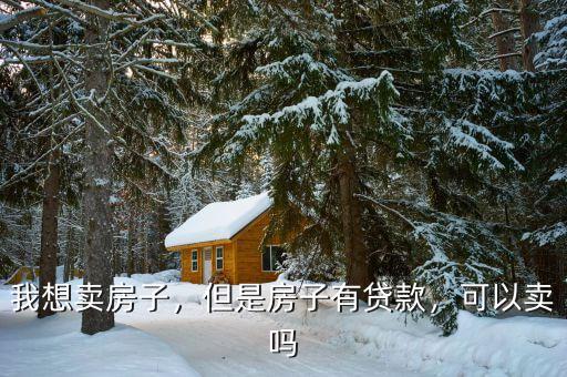我想賣房子，但是房子有貸款，可以賣嗎