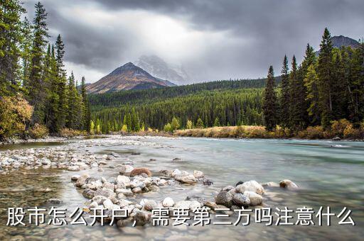 股票開(kāi)戶需要什么,開(kāi)戶需要了解哪些細(xì)節(jié)