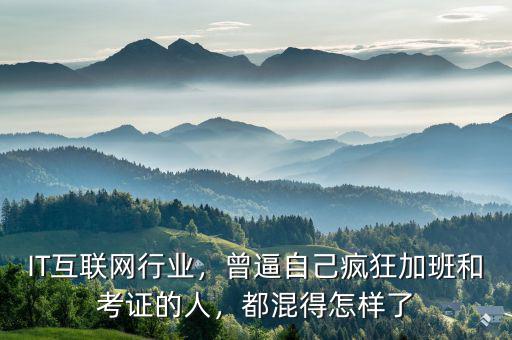 IT互聯(lián)網(wǎng)行業(yè)，曾逼自己瘋狂加班和考證的人，都混得怎樣了
