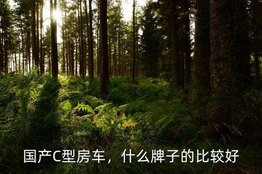 國產(chǎn)C型房車，什么牌子的比較好